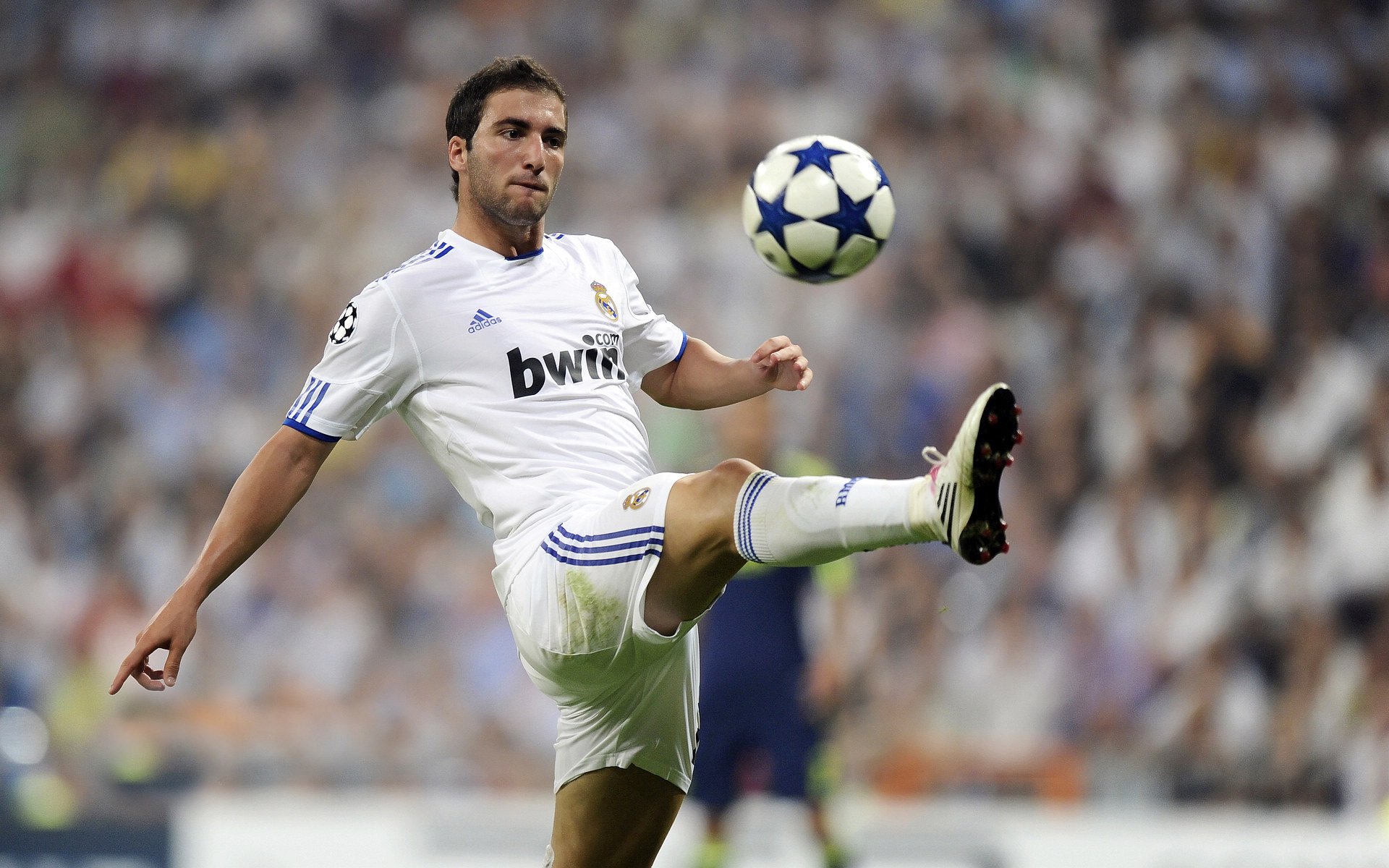 冠军球队社会责任项目获社区高度评价与广泛参与，冠军组织的定义